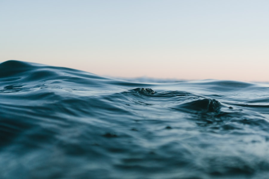 Argo Floats Ocean Biogeochemistry Sensors